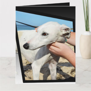 Greyhound Dimensions Big Grußkarte Karte
