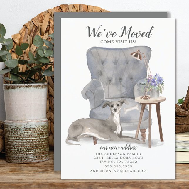 Greyhound Dog | Ankündigung der Beförderung (Von Creator hochgeladen)