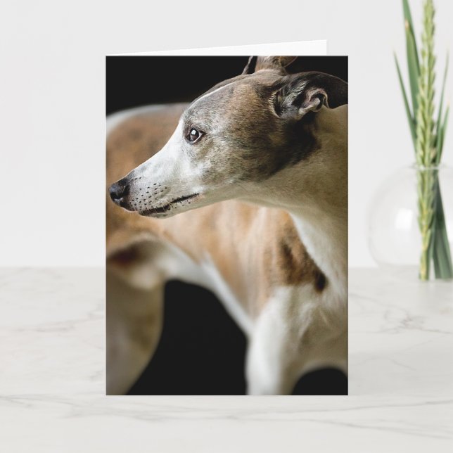 Greyhound Dog Grußkarte Karte (Vorderseite)