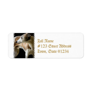 Greyhound Dog  Mailing Labels