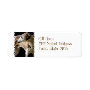 Greyhound Dog Mailing Labels