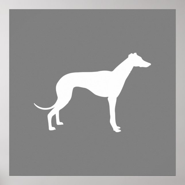 Greyhound Dog Poster (Vorne)