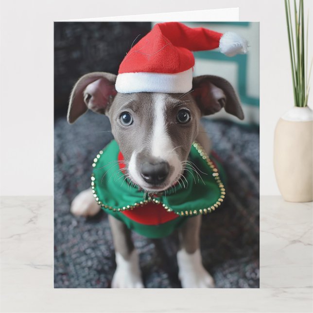 Greyhound Elf Puppy Christmas Card Karte (Vorderseite)