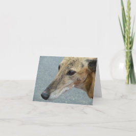 Greyhound-Fotokarte (p291) Karte