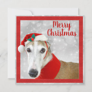 Greyhound Frohe Weihnachten