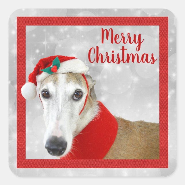 Greyhound Frohe Weihnachten Quadratischer Aufkleber (Vorderseite)
