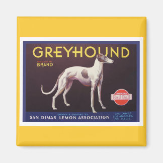 Greyhound Fruchtkäfigkennzeichnung Magnet
