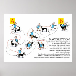 Greyhound Glossary Navigreytion Poster