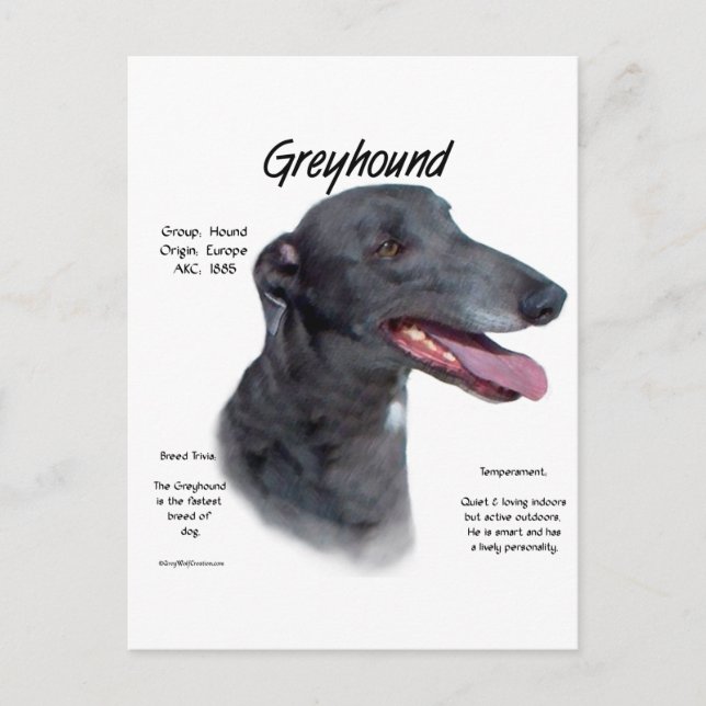 Greyhound History Design Postkarte (Vorderseite)