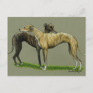 "Greyhound Hug" Hunde Kunst Postkarte