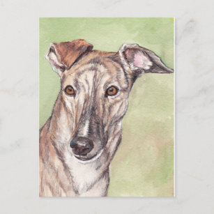 Greyhound Hund Hunde Kunst Postkarten