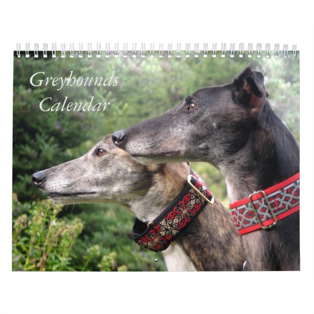 Greyhound Kalender (Titelbild)