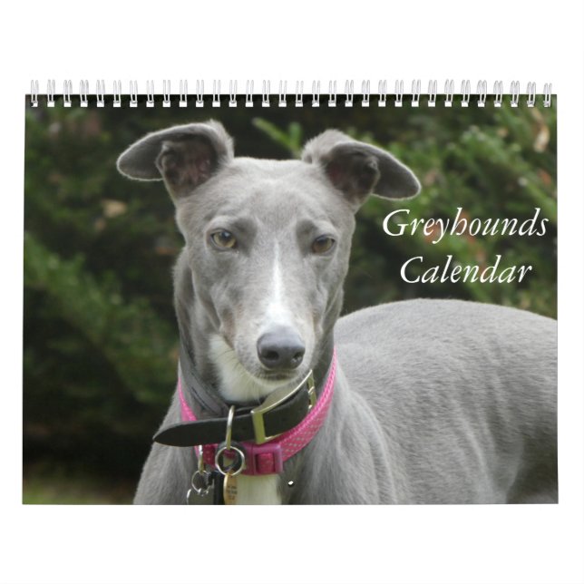 Greyhound Kalender (Titelbild)