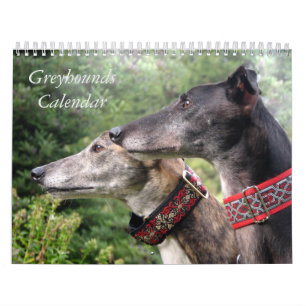 Greyhound-Kalender 2025 Kalender