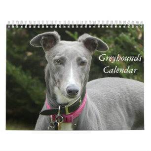 Greyhound-Kalender 2025 Kalender
