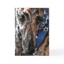 Greyhound-Karte für Chanukka / Chanukah / Pessach