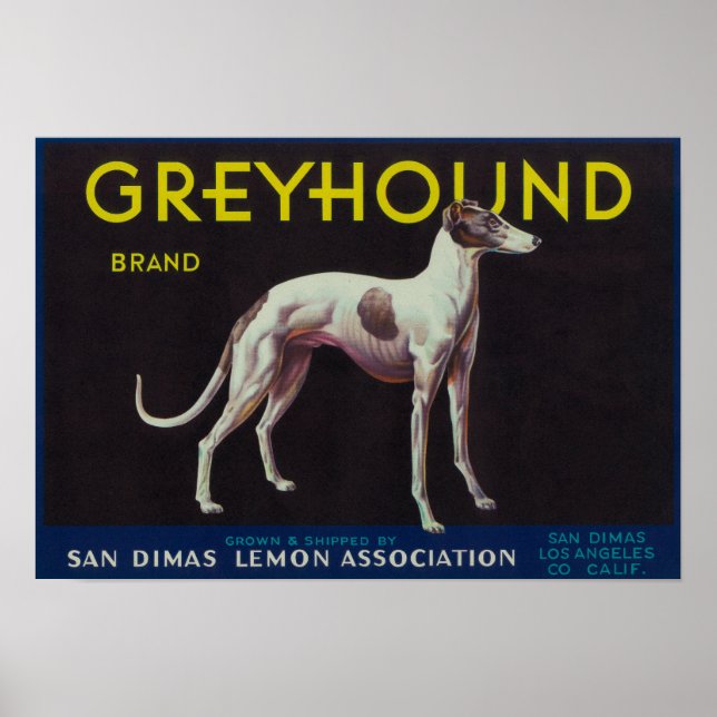 Greyhound Lemon LabelSan Dimas, CA Poster (Vorne)