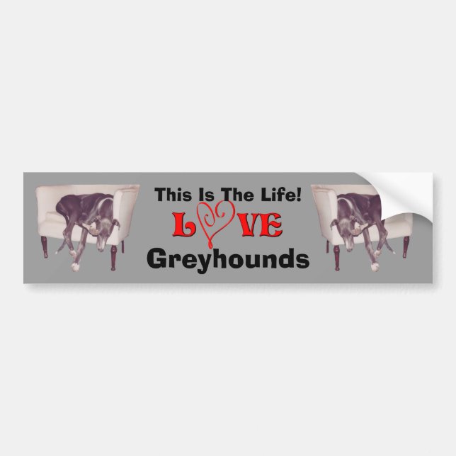 Greyhound Love This Is The Life Cute  Autoaufkleber (Vorne)