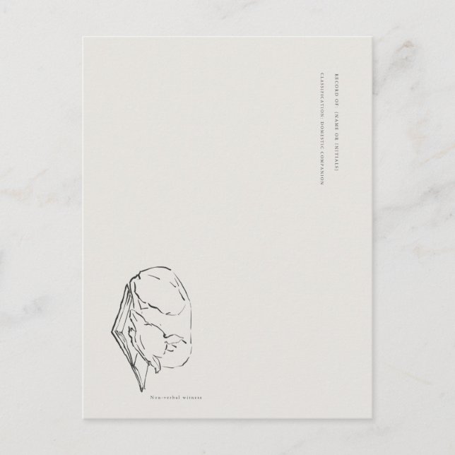 Greyhound- Naturalist Menagerie Archive  Postkarte (Vorderseite)