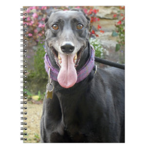 Greyhound-Notebook Notizblock