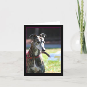 Greyhound notecard karte