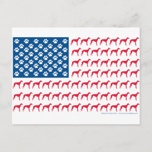 Greyhound Patriotic Flag Postkarte