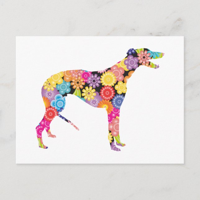 Greyhound Postkarte (Vorderseite)