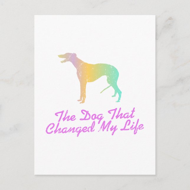 Greyhound Postkarte (Vorderseite)