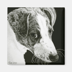 Greyhound Pup Magnet - "Paddy"