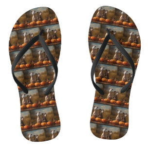 Greyhound Puppy Autumn Delight Pumpkin Flip Flops