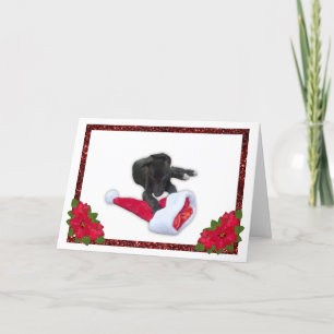 Greyhound Puppy mit Weihnachten-Weihnachtsmannmütz Feiertagskarte