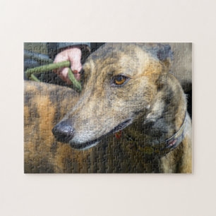 Greyhound-Puzzle (p289) Puzzle