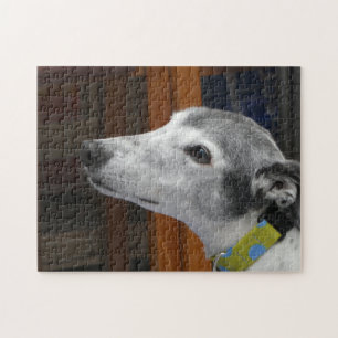Greyhound-Puzzle Puzzle