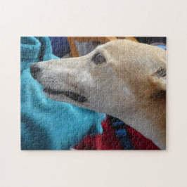 Greyhound-Puzzle Puzzle