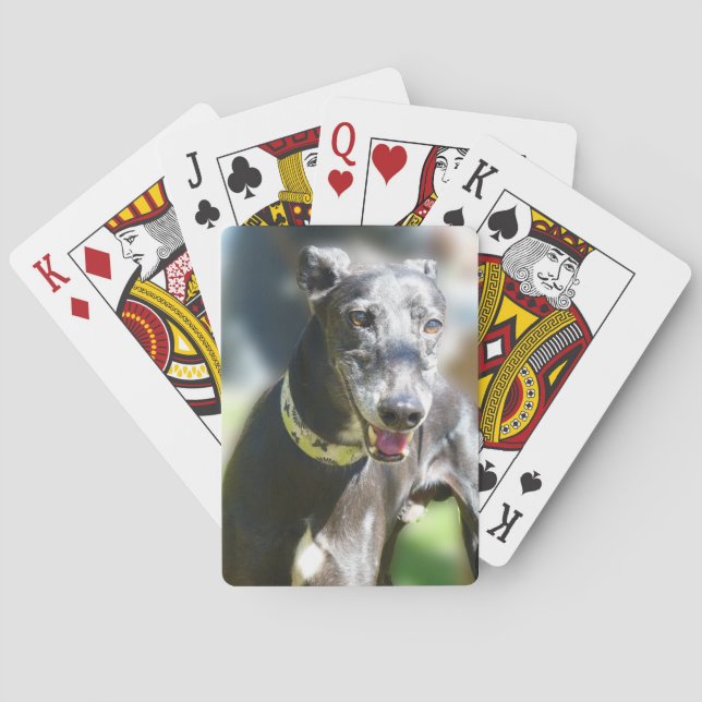 Greyhound-Spielkarten (p300) Spielkarten (Rückseite)