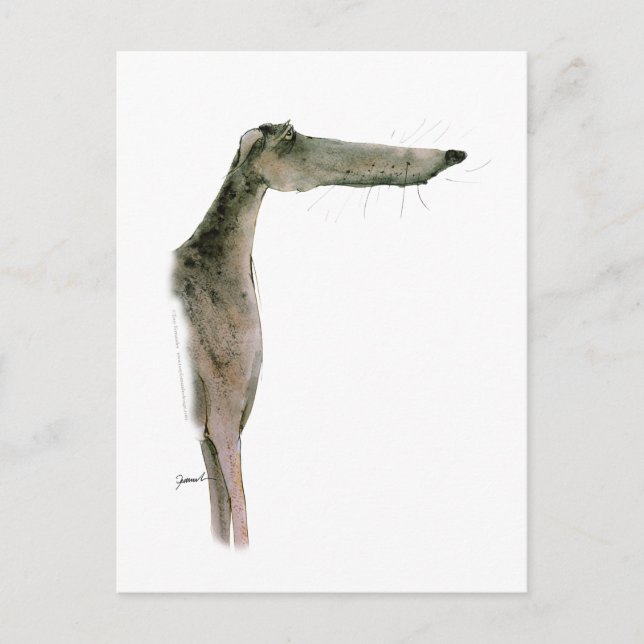 Greyhound, tony fernandes postkarte (Vorderseite)