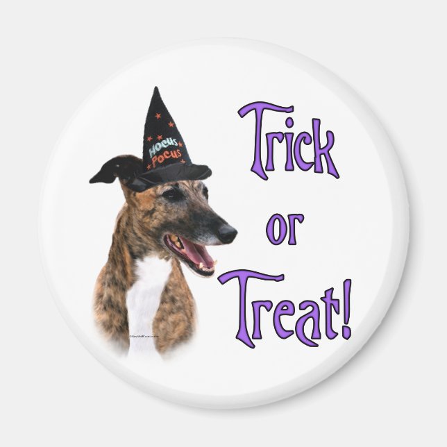 Greyhound-Trick Magnet (Vorne)