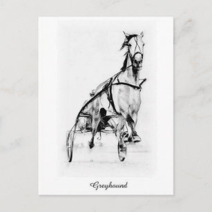 Greyhound Trotter Postkarte
