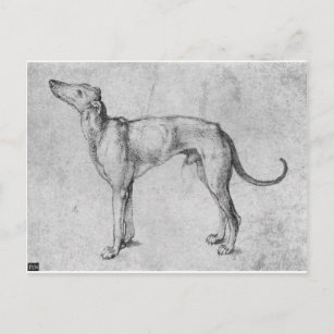 Greyhound von Albrecht Durer Postkarte