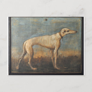 Greyhound von Giovanni Domenico Tiepolo Postkarte