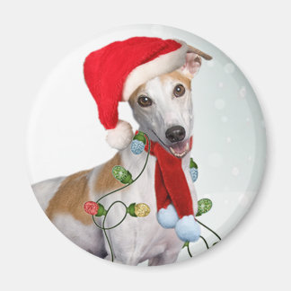 Greyhound xmas lights Magnet