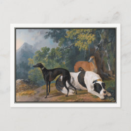 Greyhounds und Mastiff von Sawrey Gilpin Postkarte