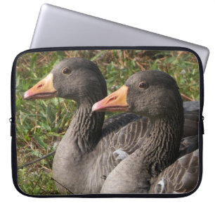 Greylag Gänse Laptopschutzhülle