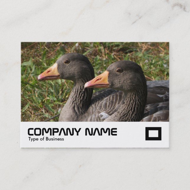 Greylag Gänse Visitenkarte (Vorderseite)
