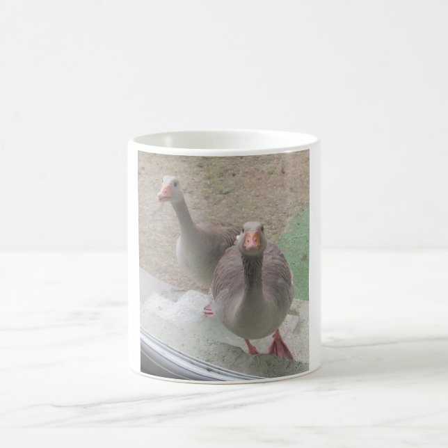 Greylag Gänse White Coffee Tasse (Mittel)