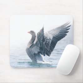 Greylag goose nature photo mousepad