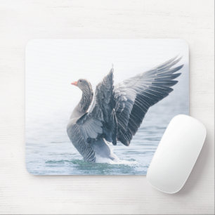 Greylag goose nature photo mousepad