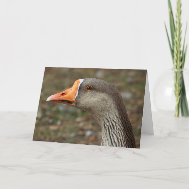Greylag Swan Goose Cross Karte (Vorderseite)