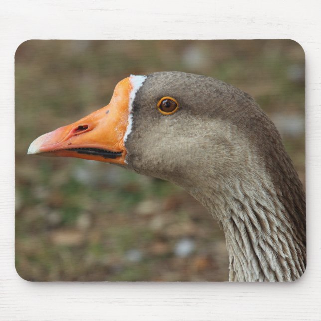 Greylag Swan Goose Cross Mousepad (Vorne)
