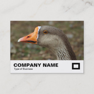 Greylag Swan Goose Cross Visitenkarte